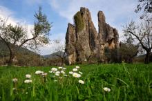 Monumento Naturale Campo Soriano