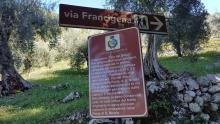 Via Francigena