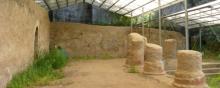 Area archeologica del Santuario di Diana Nemorense