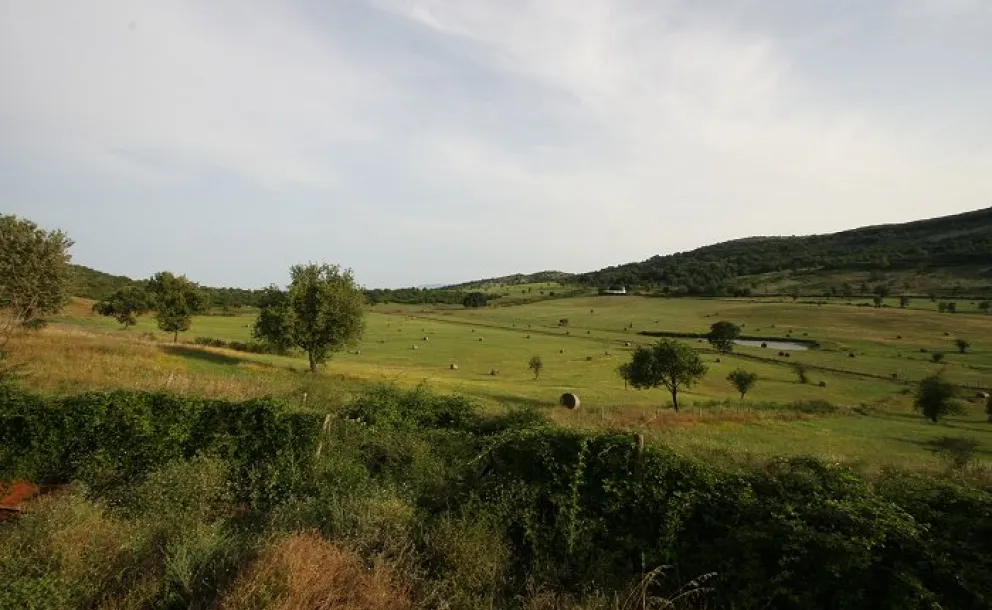 Valle Antignana